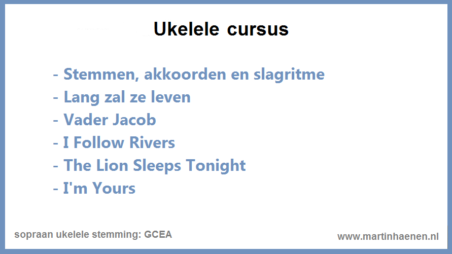 Gitaarles Ukelele Cursus